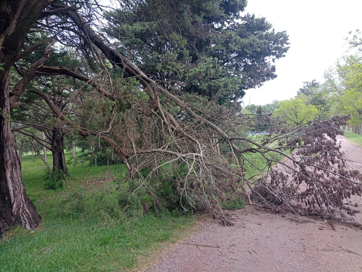 El paraje "La Isla" permanecerá cerrado este Domingo