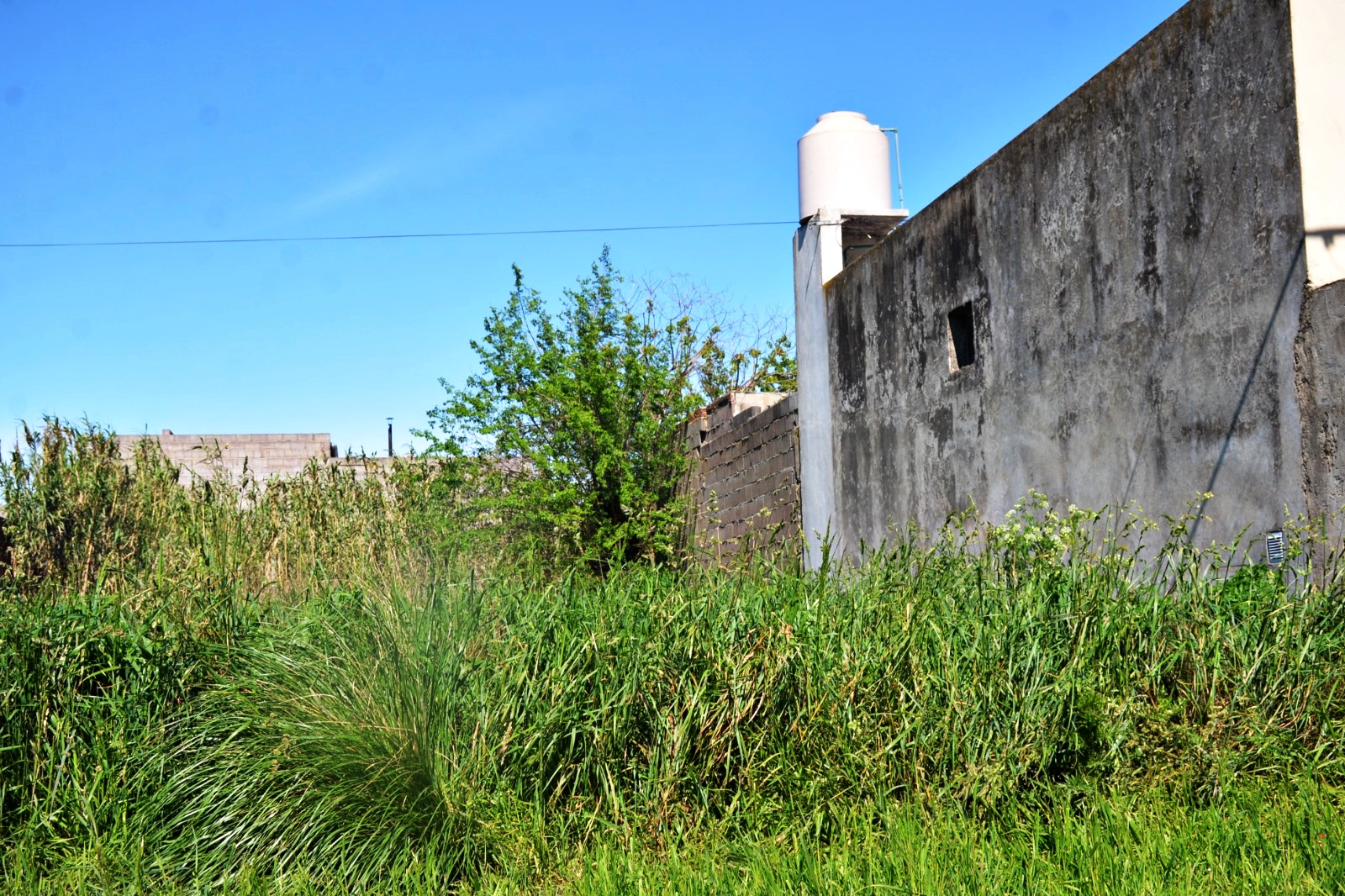 Terrenos baldíos en mal estado: las multas a los propietarios llegarán hasta 3 millones de pesos