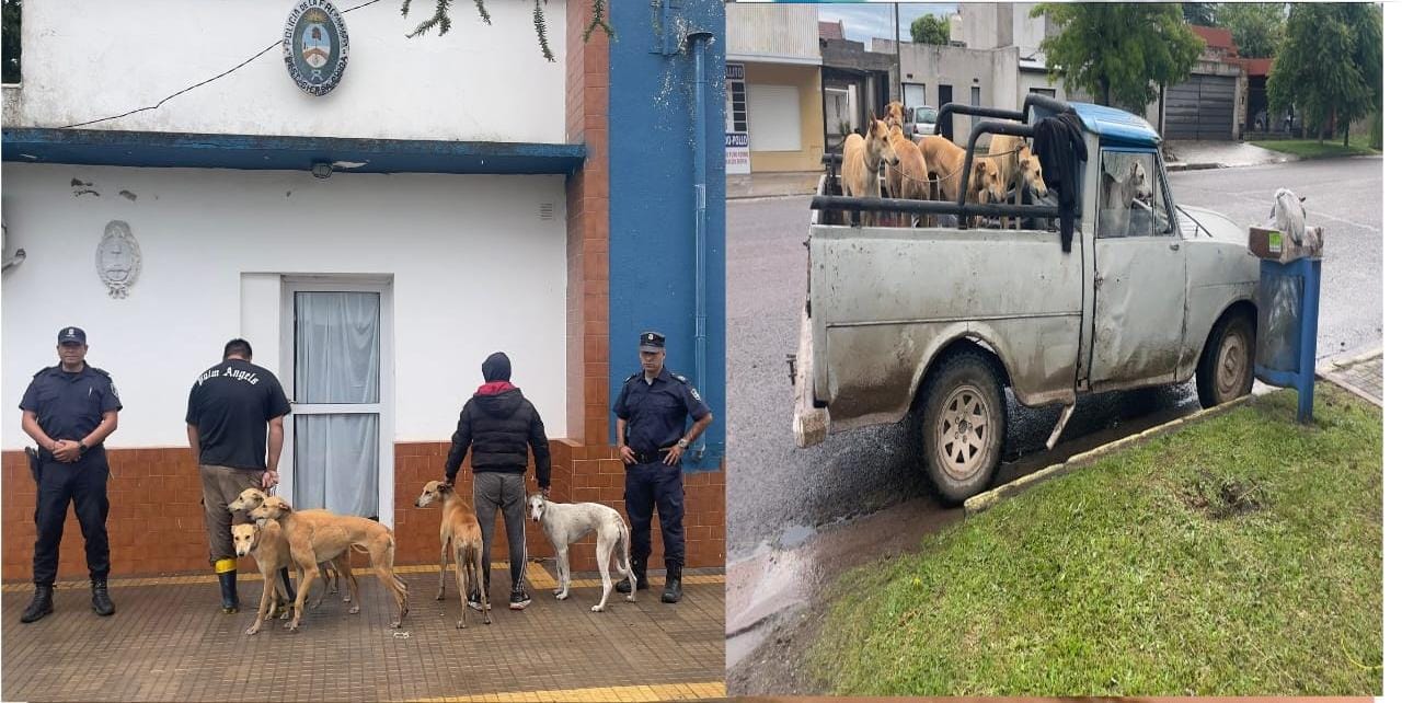 Interceptan a dos cazadores furtivos en Sierra Chica