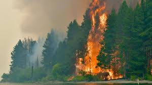 Incendios en Chubut: se reactivaron las llamas en dos zonas por las altas temperaturas