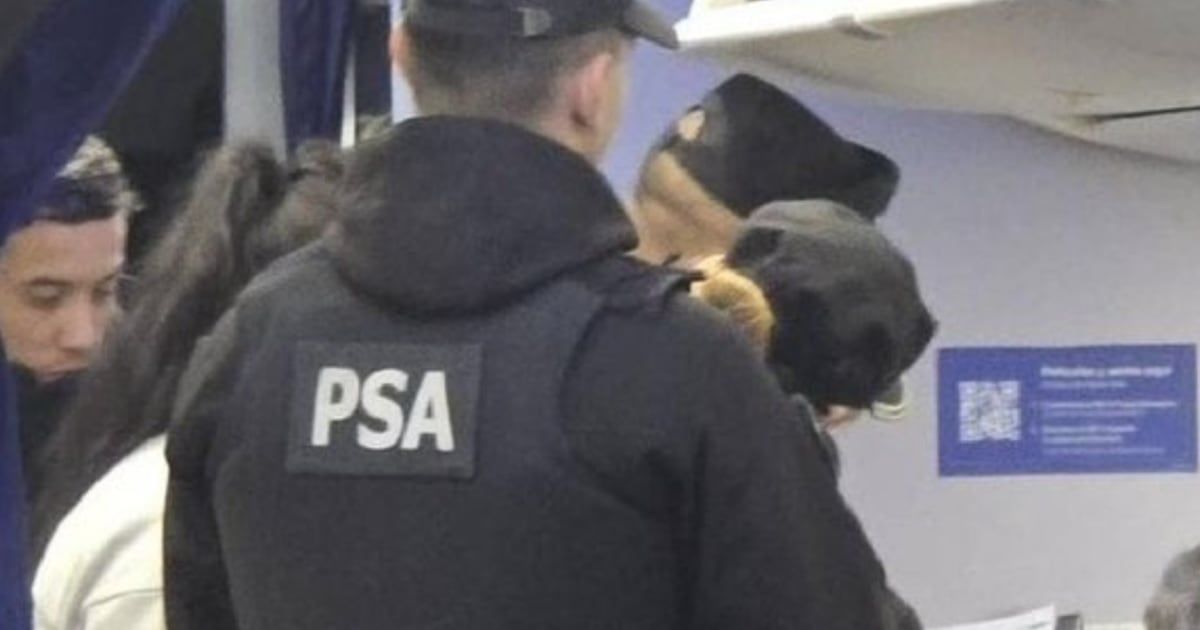tuvo relaciones sexuales en un avión.