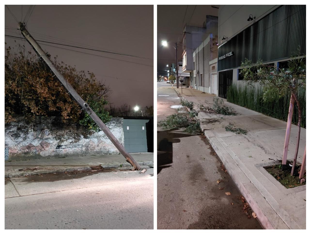 Intentó escapar en un auto robado con pedido de captura, chocando contra árboles y postes.