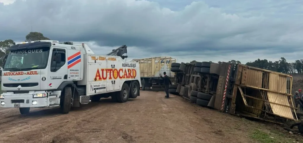 🚨 VUELCO DE UN CAMIÓN CON GANADO ANIMALES MUERTOS, FAENA EN EL LUGAR Y TENSIÓN CON VECINOS.